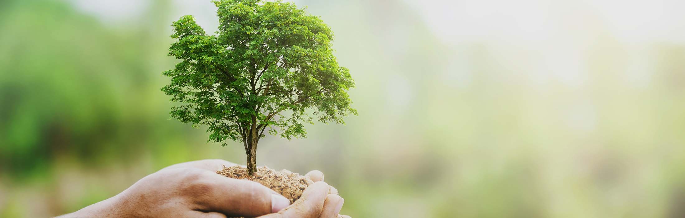 Aperçu Responsabilité Environnementale et Sociétale